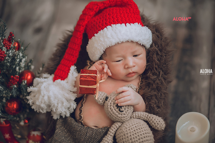 album ảnh giáng sinh newborn